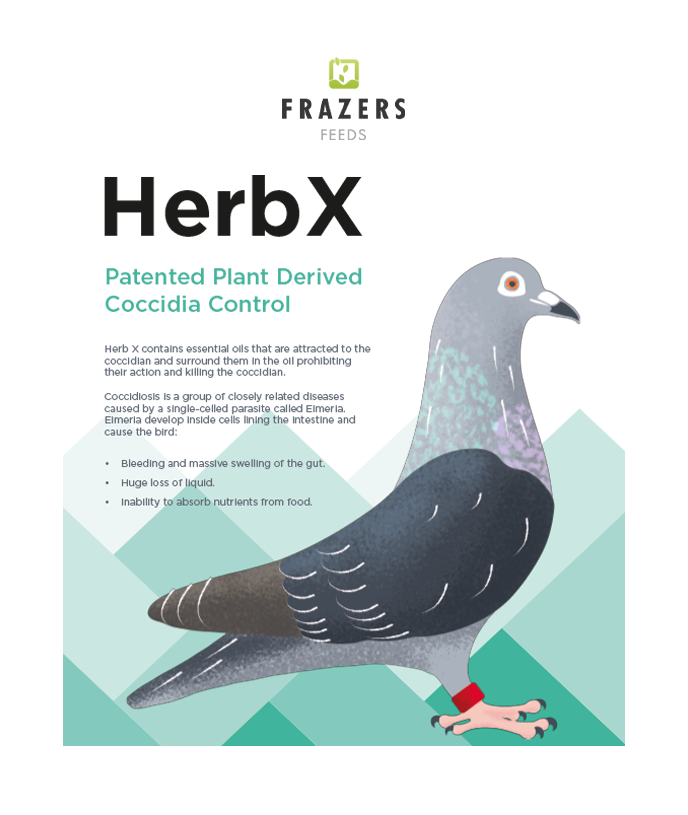HerbX (300g)