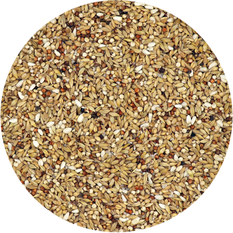 Depurative (25kg)