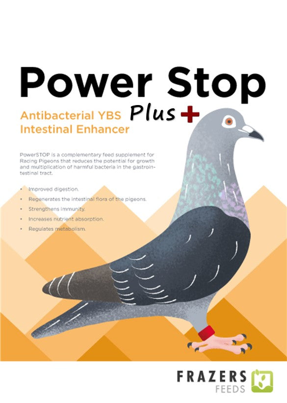 Power Stop Plus (300g)