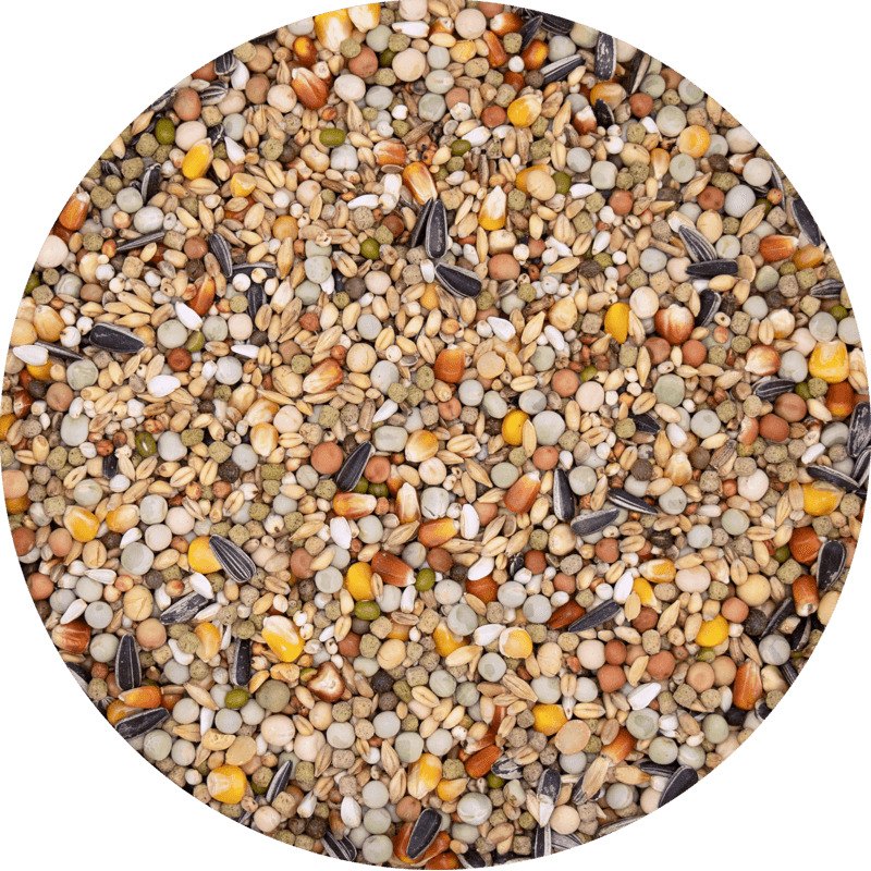 Mutine Plus (20kg)