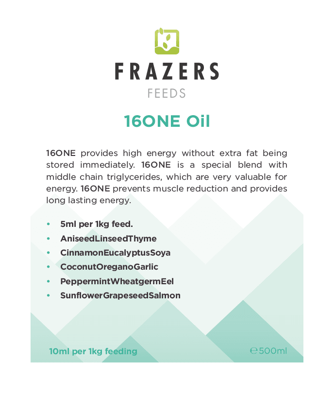 16 in 1 Oil (500ml)