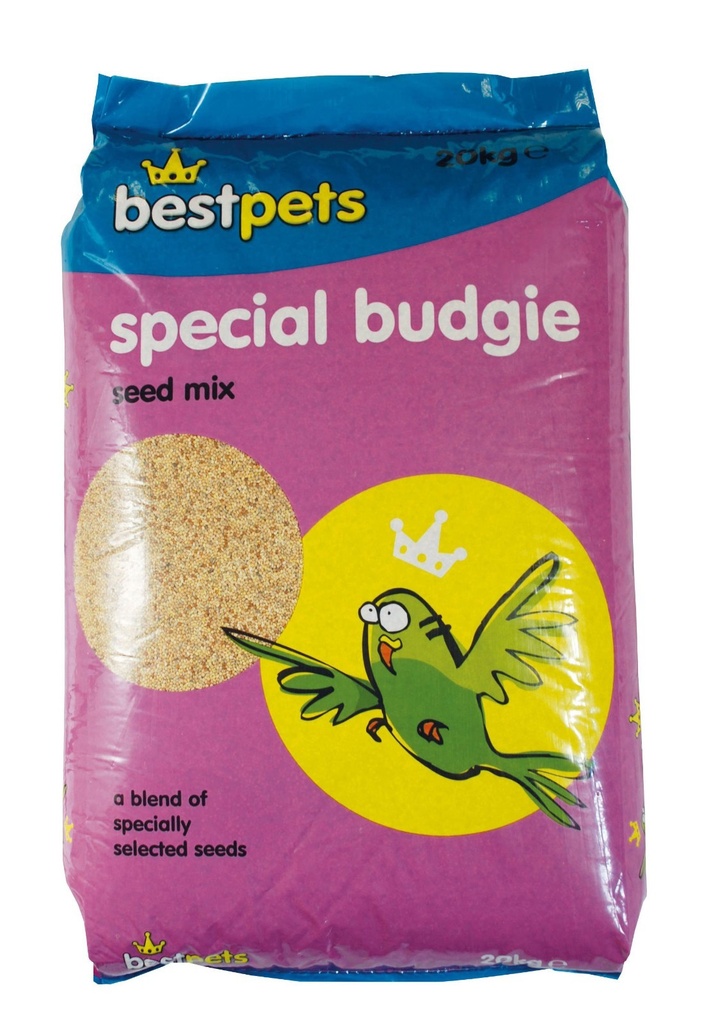 Bestpets Special Budgie