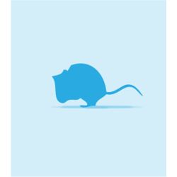 Monkfield Mouse Large 20-30g