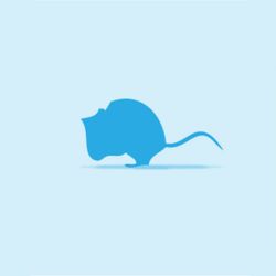 Monkfield Mouse, Small Pinkies