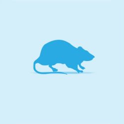Monkfield Rat, Fluff