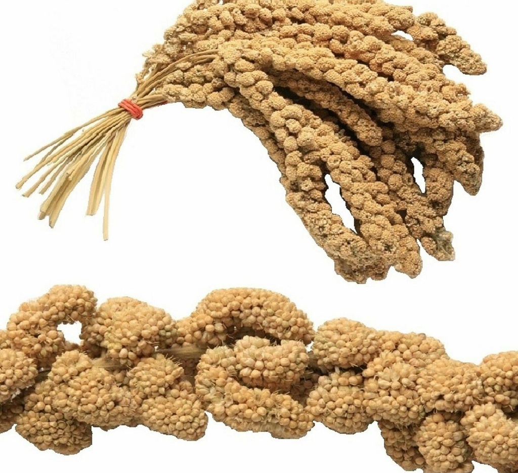 Chinese Millet Spray ( Food For Cage Aviary Wild Bird Feed ) Box