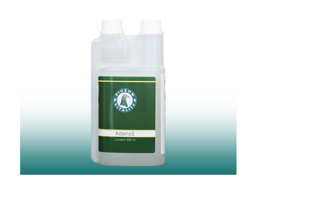 Pigeon Vitality Adenos For Racing Pigeons - Vomiting And Reluctance