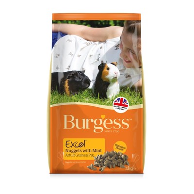 Burgess Excel Guinea Pig Nuggets With Mint (Comes In Clear Bag)