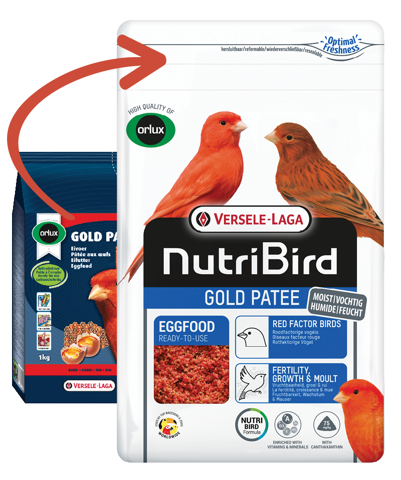 Versele Laga Nutribird Gold Patee Red Factor Canary Birds Birds With Red