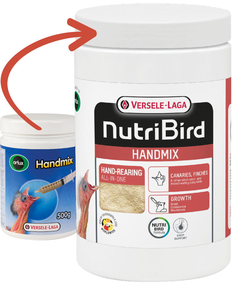 Versele Laga Nutribird (Orlux) Handmix (For Baby Birds, Pigeons, Doves Etc)