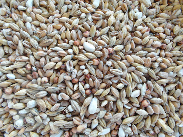 Bjf Depurative Pigeon Seed Mix