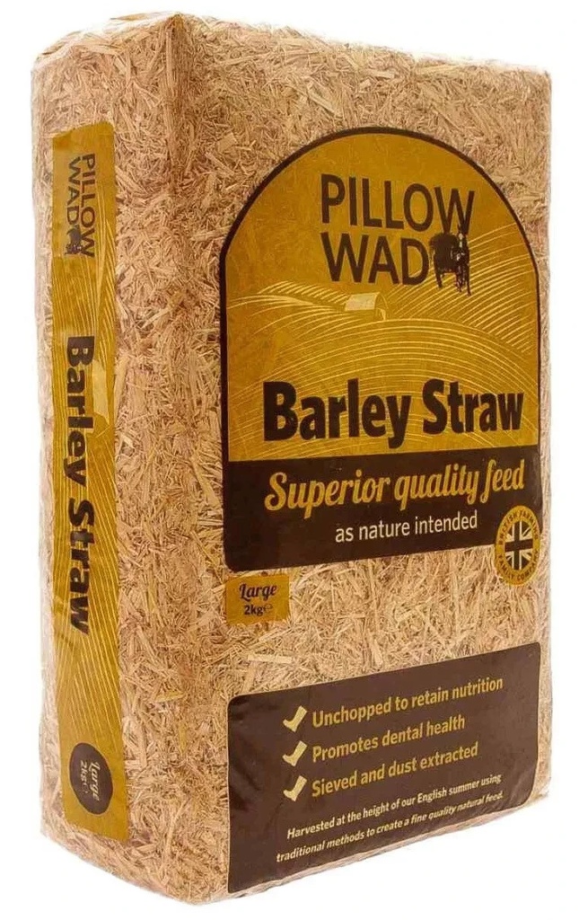 Pillow Wad Premier Animal Barley Straw
