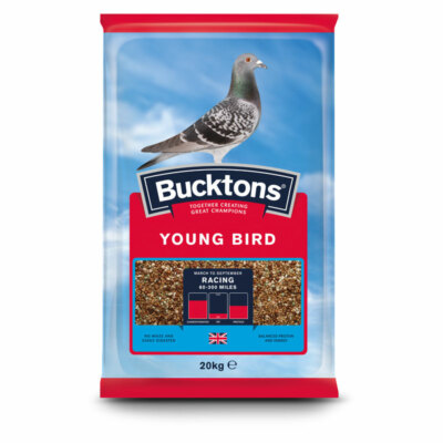 Bucktons Young Bird Pigeon Feed