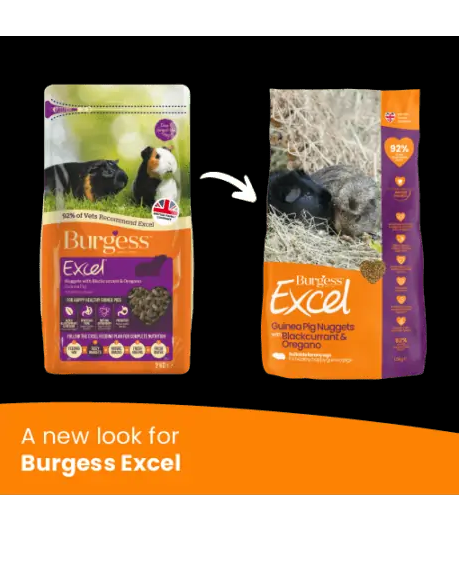 Burgess Excel Guinea Pig Nuggets With Blackcurrant & Oregano