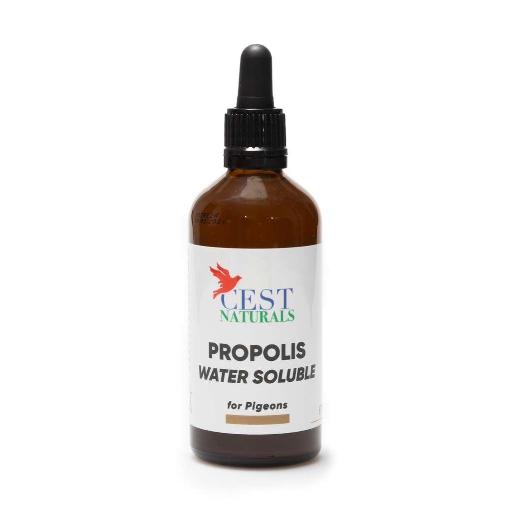 Cest Pharma Propolis Water Soluble - Pigeons & Cage Birds