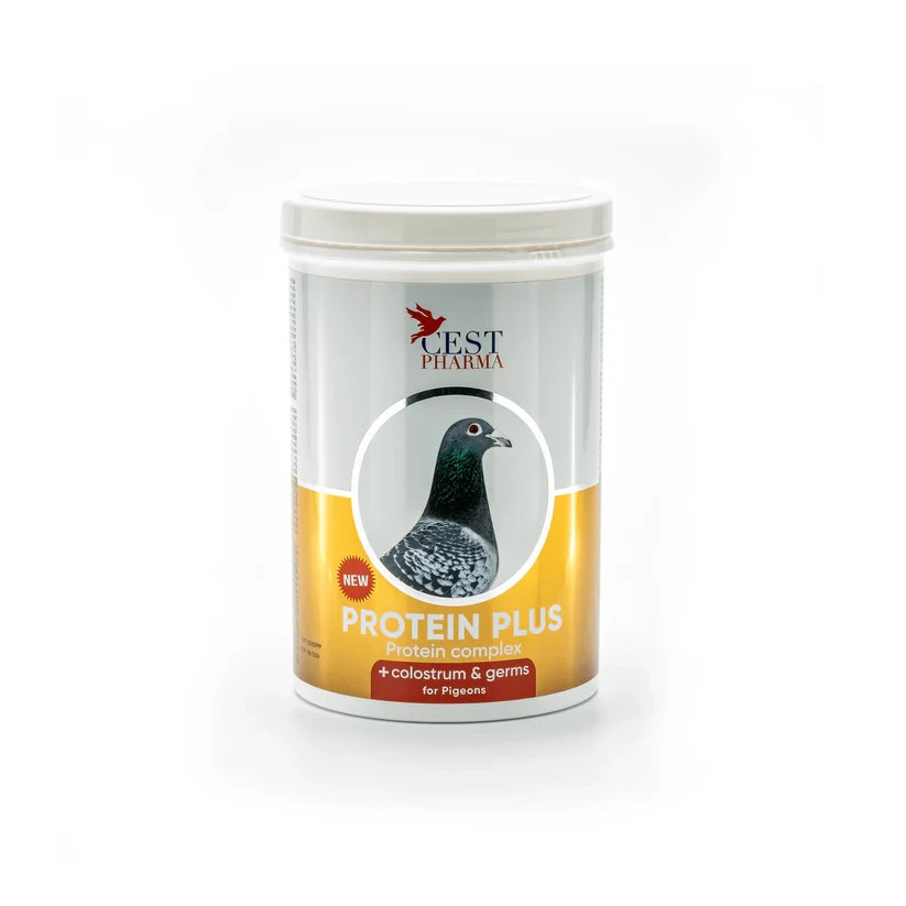 Cest Pharma Protein Plus - Pigeons, Show, Tumblers Vitamins, Minerals