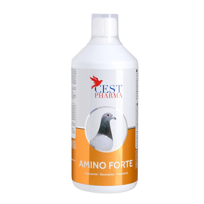 Cest Pharma Amino Forte - Pigeons, Racers, Show, Tumblers Etc