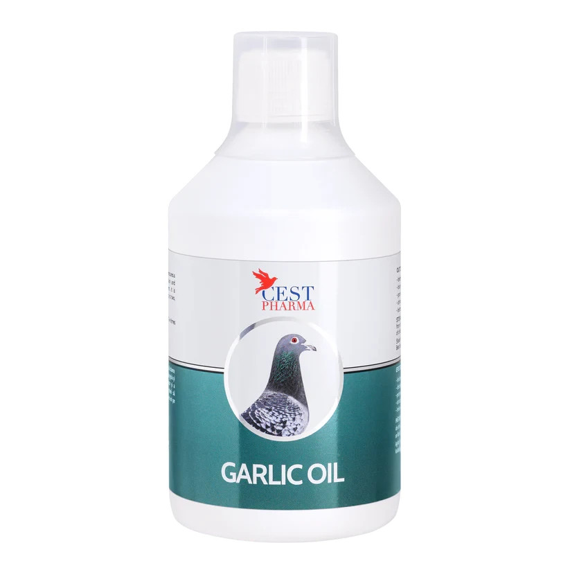 Cest Pharma Garlic Oil - Good Physical Pigeons, Racers, Show, Tumblers Etc