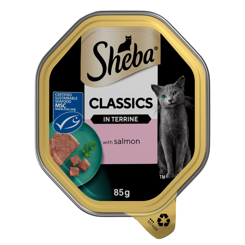 Sheba Classics Wet Cat Food Tray Salmon In Terrine 22 X