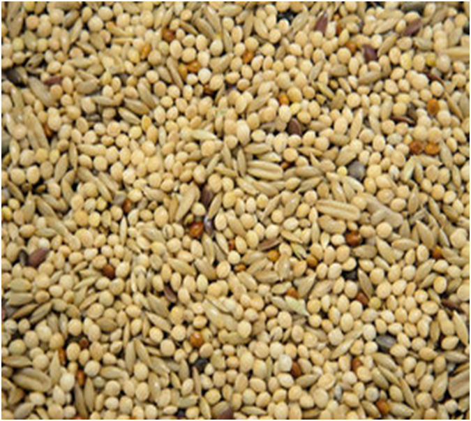Colonels Budgie Supreme Seeds Feed Mix - Various Millets, Hemp & Linseed
