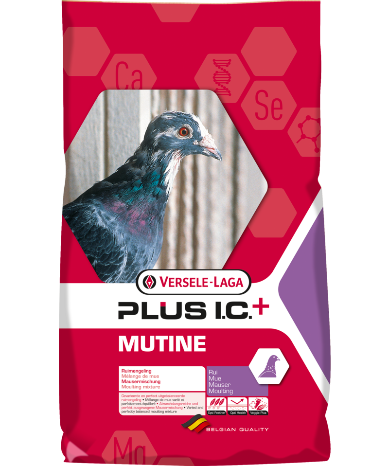 Versele Laga Mutine Plus I.C. + Racing Pigeon Feed