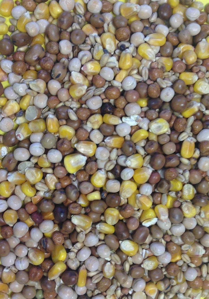 Gem Four Seasons Pigeon & Dove Feed All Year Round