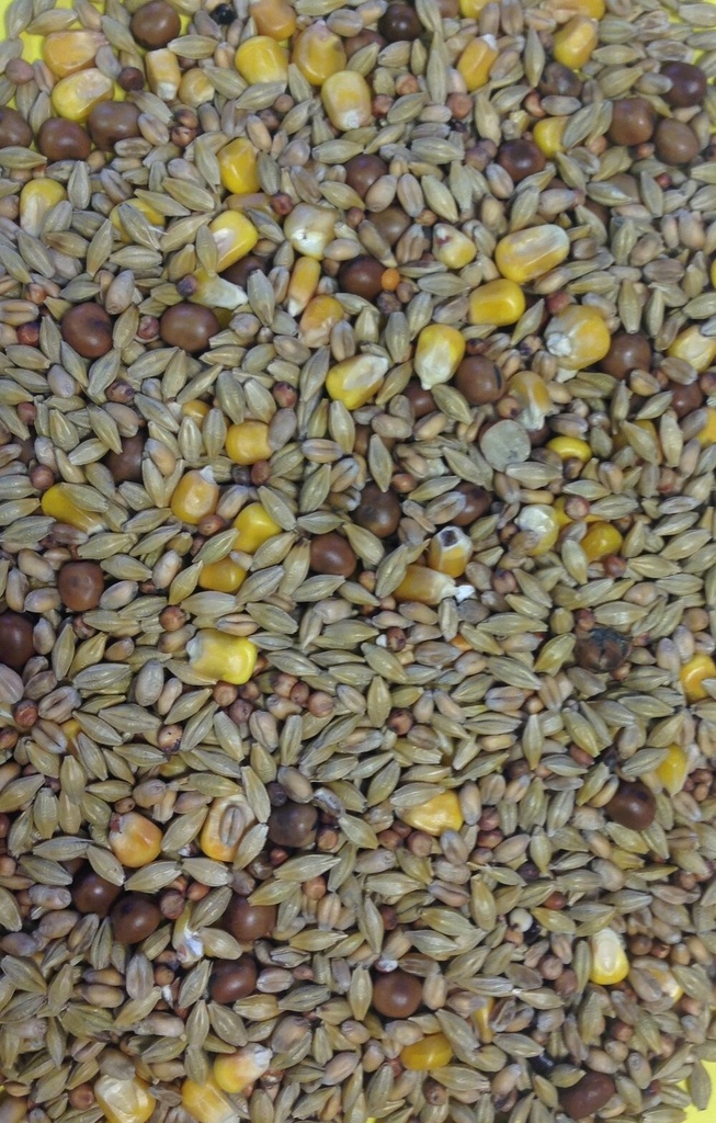 Gem Winter Special Pigeon & Dove Feed All Year Round