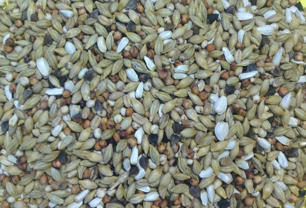 Gem Depurative Pigeon & Dove Feed All Year Round