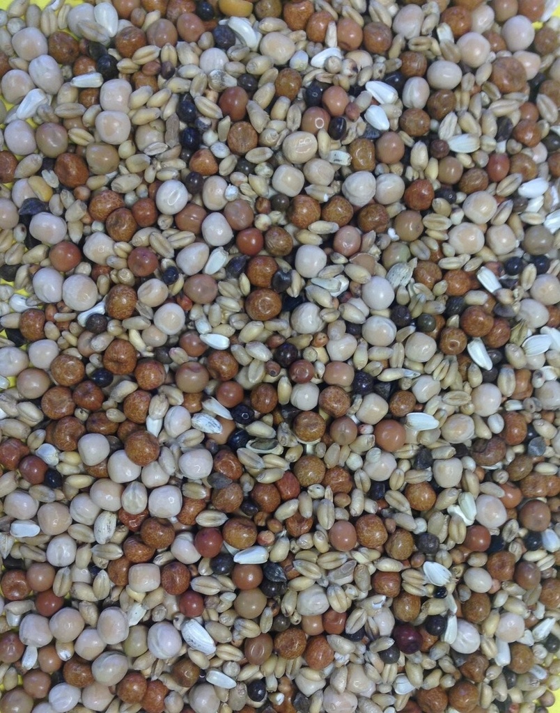 Gem Young Bird - No Maize Pigeon & Dove Feed All Year Round