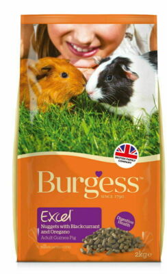 Burgess Excel Guinea Pig Nuggets (Blackcurrant & Oregano) Sold In Clear Bag