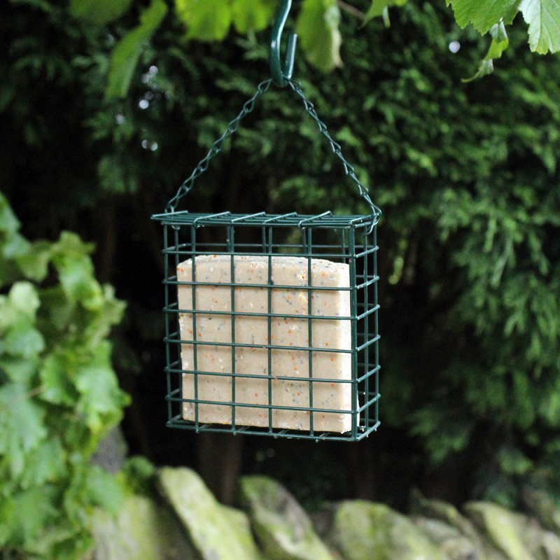 Nature' Market Wild Bird Suet Cake Feeder With Chain (Metal)