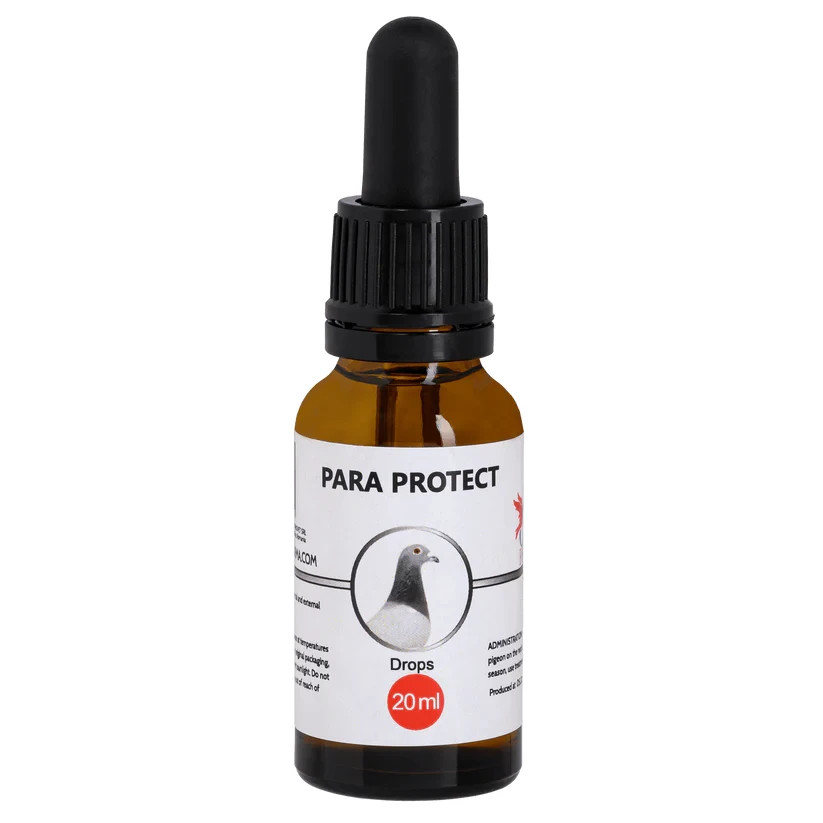Cest Pharma Para Protect - Pigeons, Racers, Show, Tumblers Etc