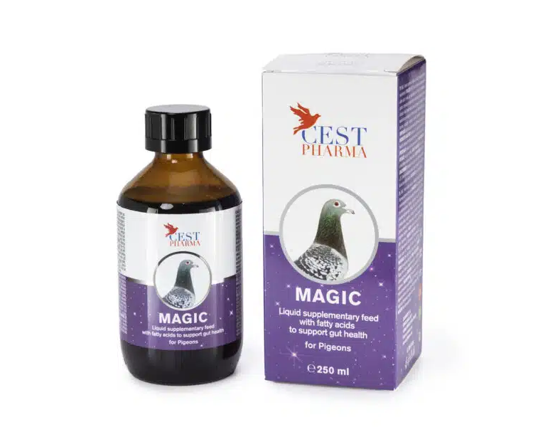 Cest Pharma Magic - Pigeons, Racers, Show, Tumblers Etc