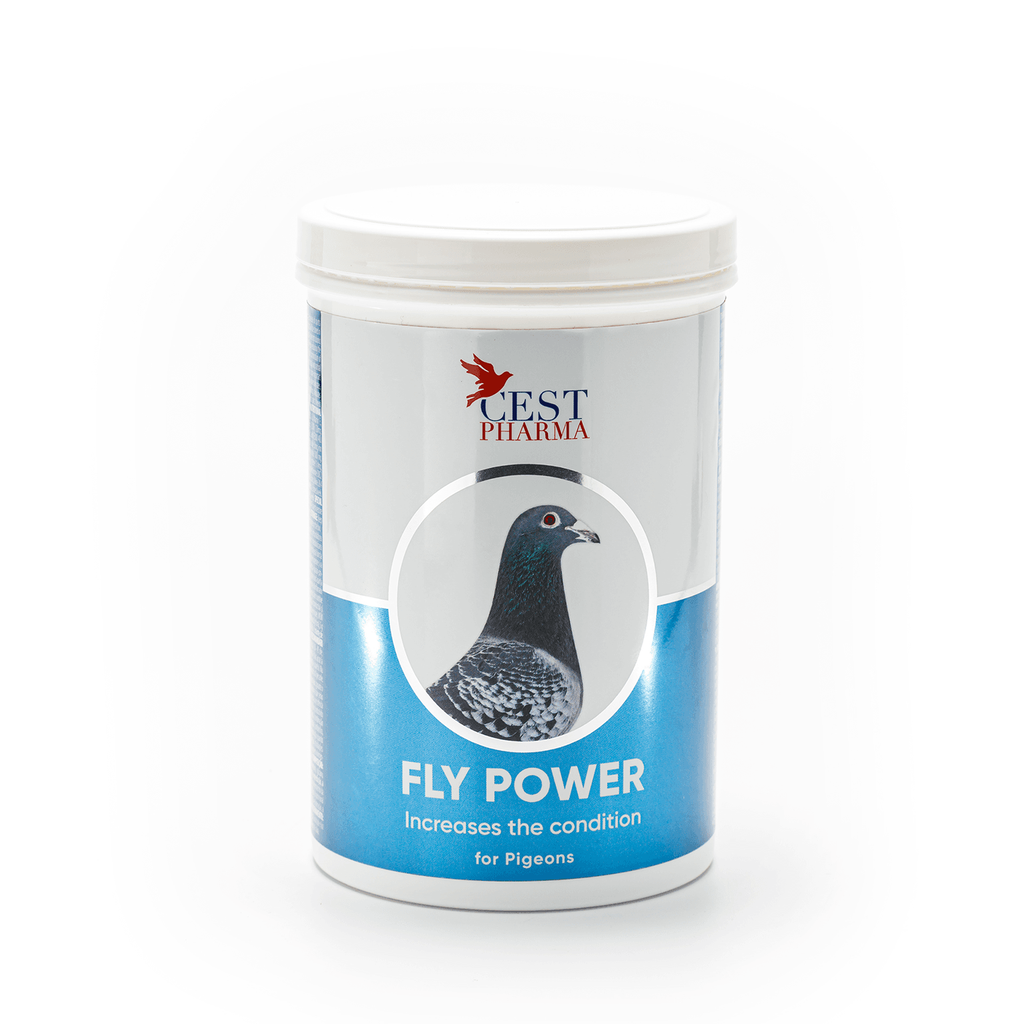 Cest Pharma Fly Power - Increase The Conditions Pigeons, Racers Etc