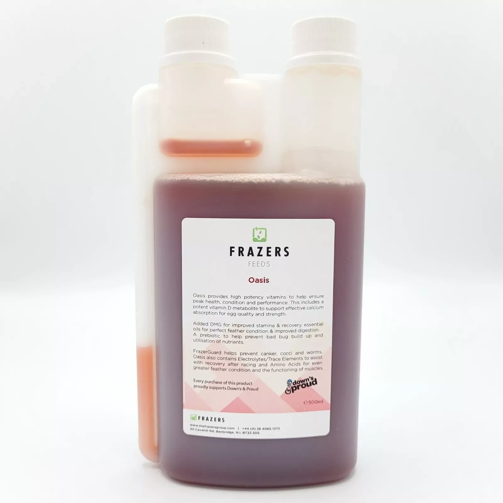 Frazers Oasis - Frazers Racing Pigeon Oasis Avairy