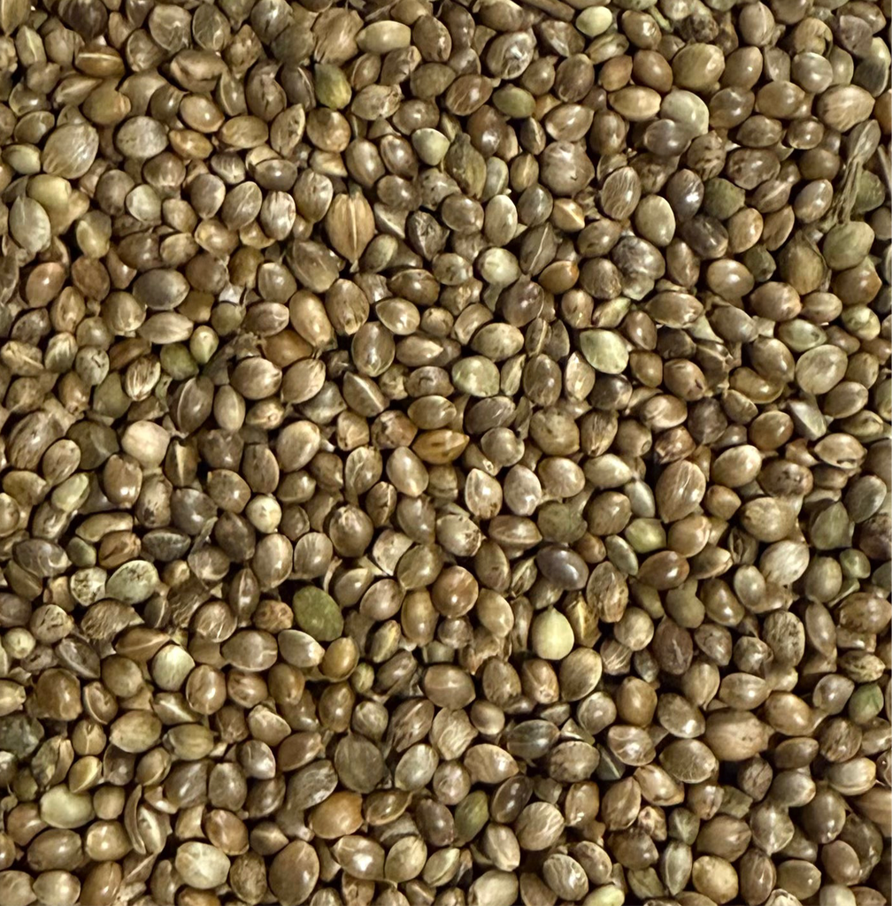 Hemp Large Chinese (25kg)