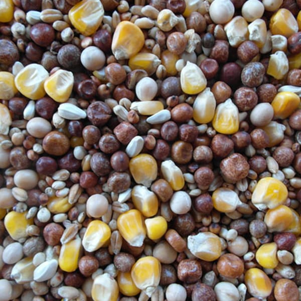BJF Allrounder (25kg)