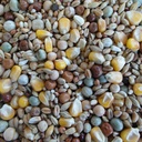 BJF Moulting (25kg)