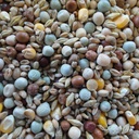 BJF Stock Bird (25kg)
