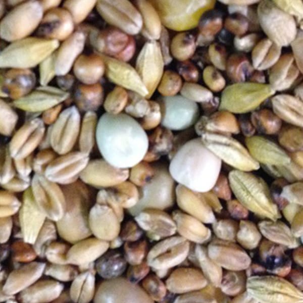 BJF Eco Mix (20kg)
