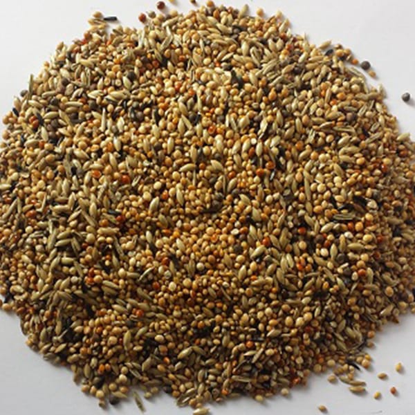 BJF Tropical Finch (20kg)