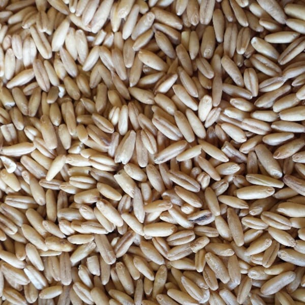 Groates (25kg)