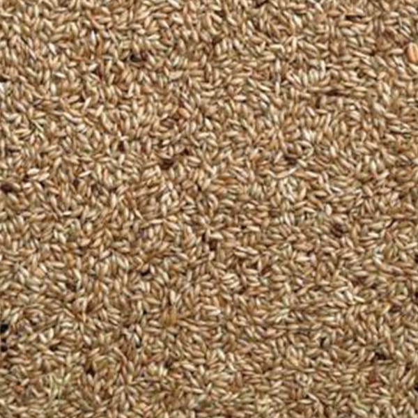 Plain Canary Seed (Unbranded) (25kg)