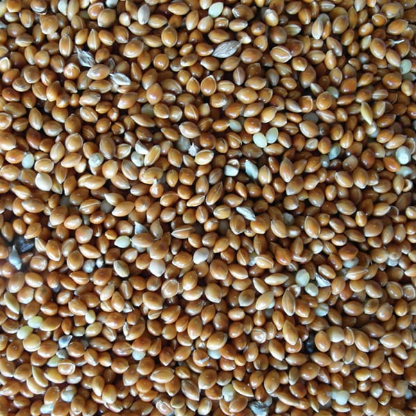 Red Millet (Unbranded) (25kg)