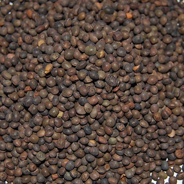 Tares (25kg)
