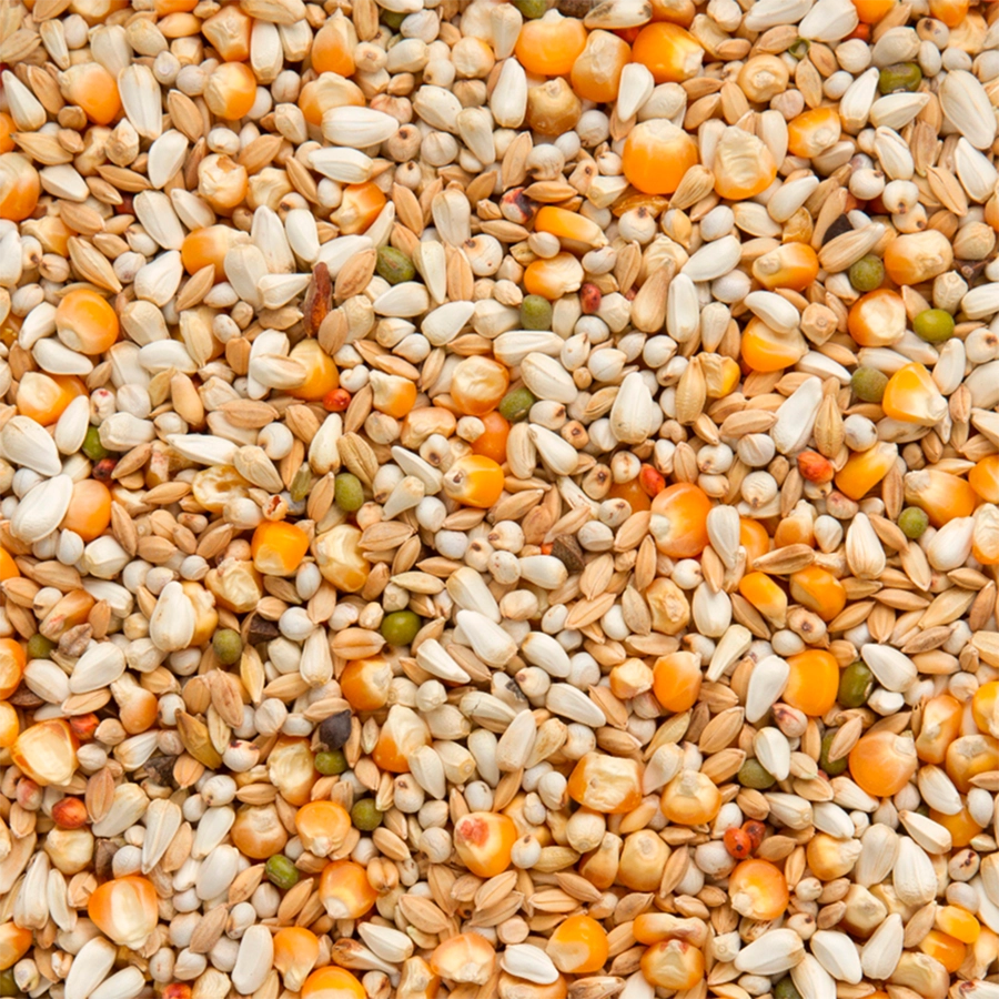 Vandenabeele Premium (20kg)