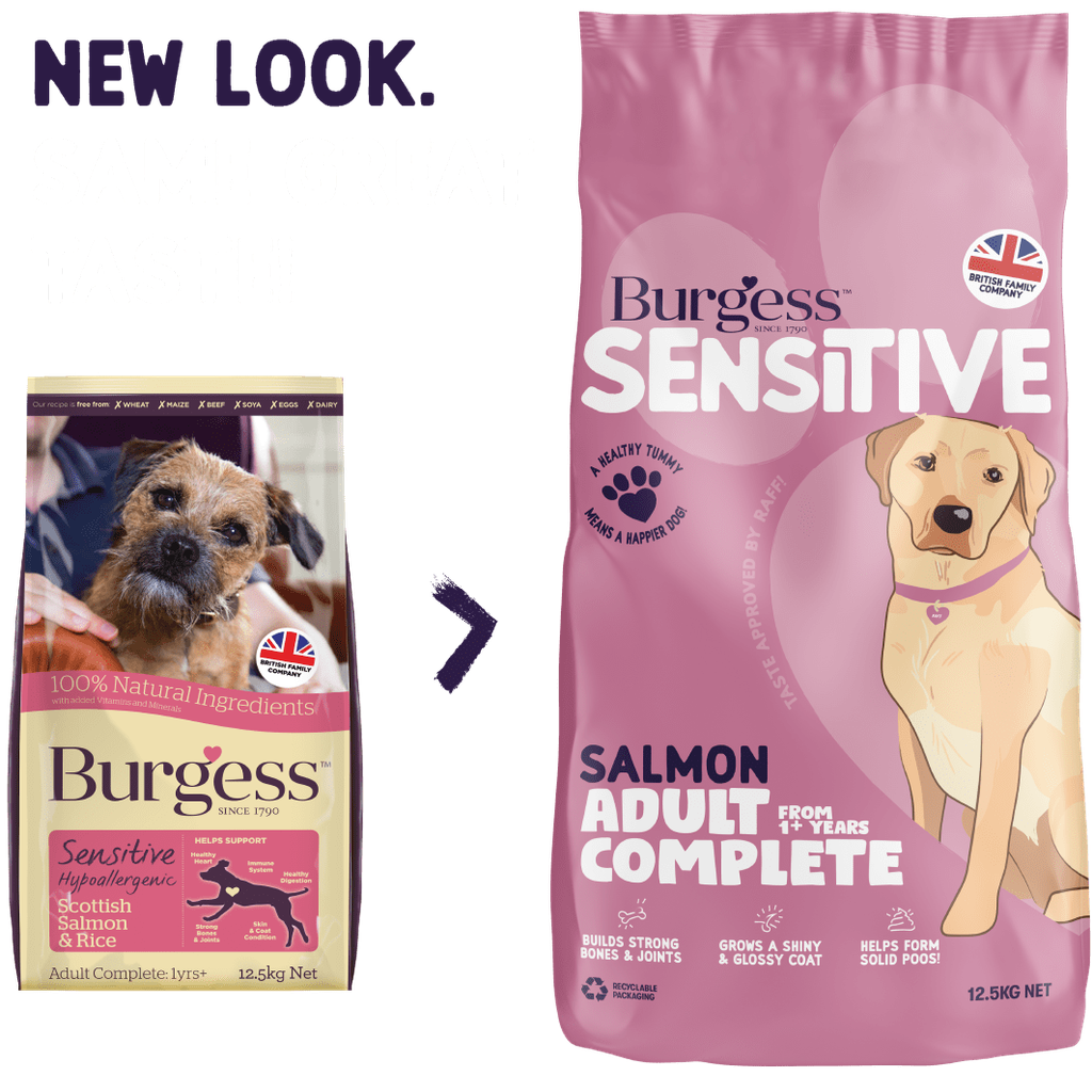 Burgess Sensitive Scottish Salmon & Rice Dog Food -