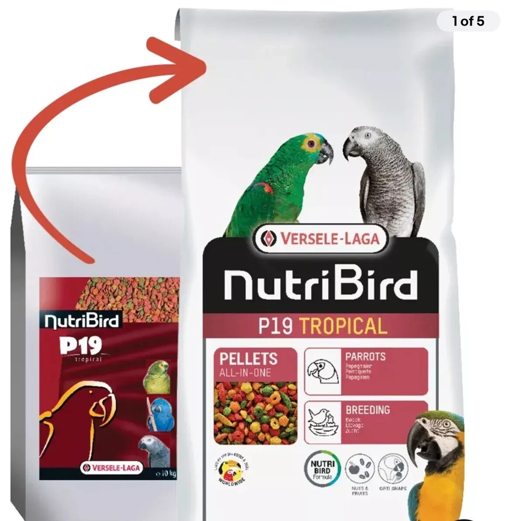 Versele Laga Nutribird P19 Tropical Parrots (Clear Bag)