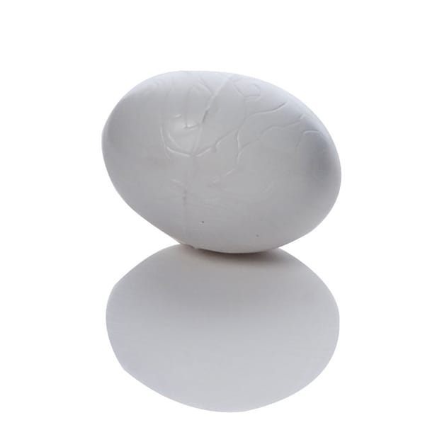 Plastic Eggs - Solid (10 Pack)
