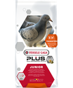 Junior Plus (20kg)